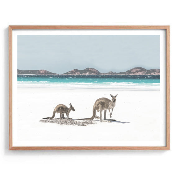 Beach Kangaroos Print
