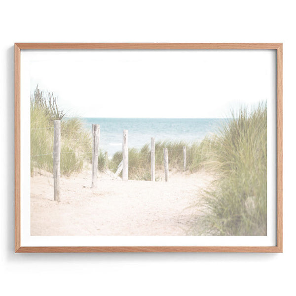 Beach Path Print-Art for Interiors-Online Framed-Australian Made Wall Art-Milk n Honey Designs