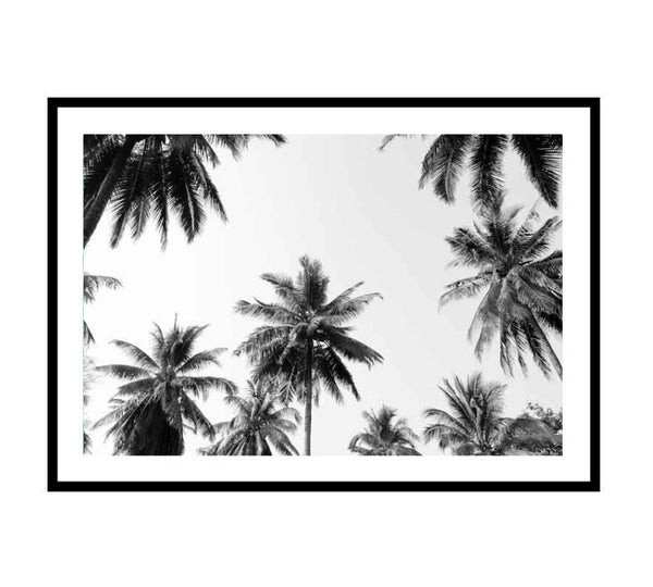 Coco Palms Unframed 50x70 Print-Art for Interiors-Online Framed-Australian Made Wall Art-Milk n Honey Designs