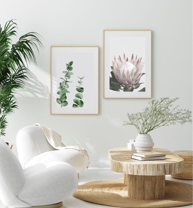 Eucalyptus and Protea Set-Art for Interiors-Online Framed-Australian Made Wall Art-Milk n Honey Designs