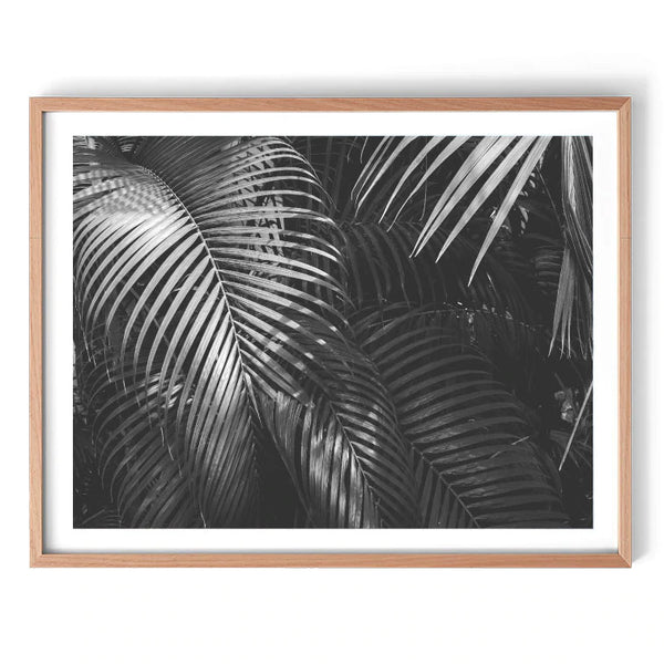 Mono Palms 120x85cm Print Only