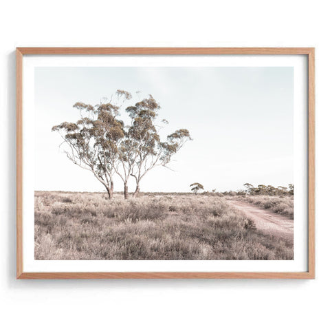 Outback Landscape Print