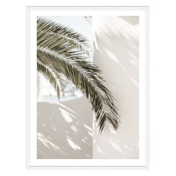 Palm Leaf Shadow Print