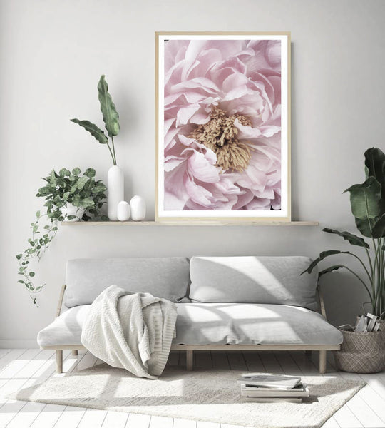 Pink Peony Print-Art for Interiors-Online Framed-Australian Made Wall Art-Milk n Honey Designs