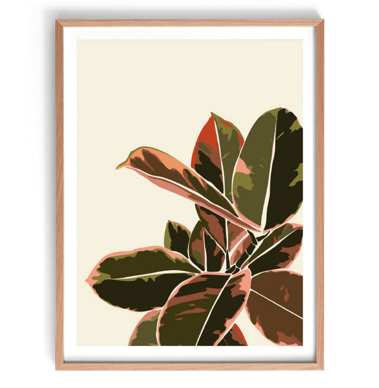 Rubber Plant Illustration Print-Art for Interiors-Online Framed-Australian Made Wall Art-Milk n Honey Designs