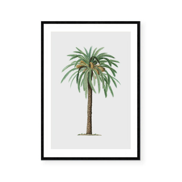 Botanical Palm Tree Illustration Print-Art for Interiors-Online Framed-Australian Made Wall Art-Milk n Honey Designs